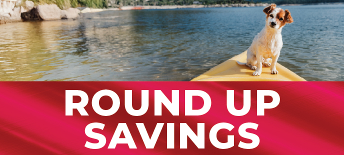 Round Up Savings