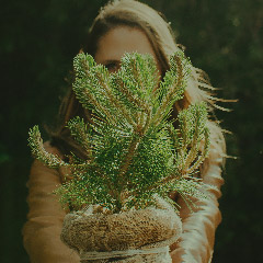 Same money, different everything else.